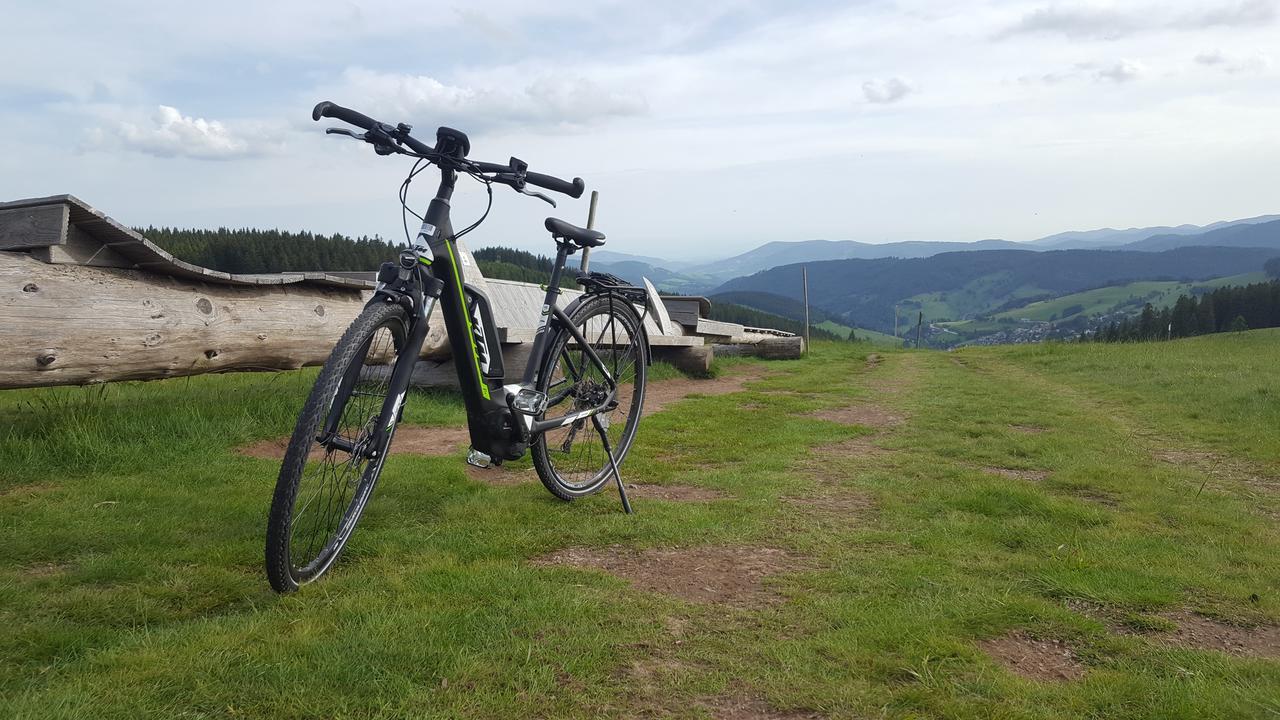 Todnauerberg Hotel Im Schwarzwald Todtnauberg Exterior foto